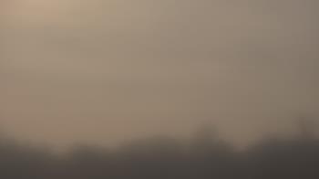 Weather camera view of Winston School.