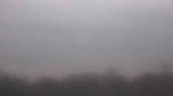 Weather camera view of Winston School.