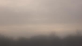 Weather camera view of Winston School.