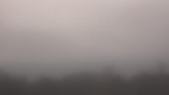 Weather camera view of Winston School.