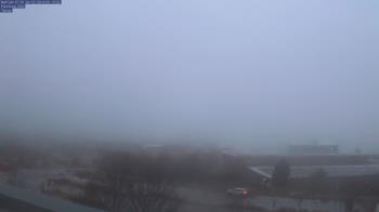 Weather camera view of Red Butte Garden.