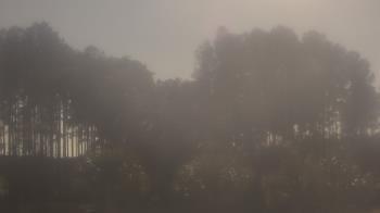 Weather camera view of Sand Hill Elementary.