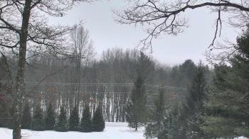 Weather camera view of Sky Valley Lodge.