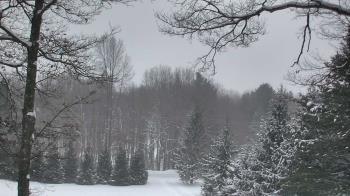 Weather camera view of Sky Valley Lodge.