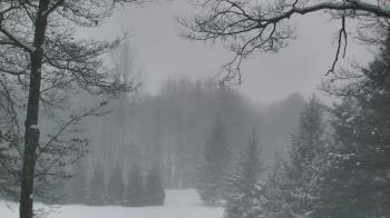 Weather camera view of Sky Valley Lodge.