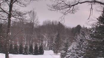Weather camera view of Sky Valley Lodge.