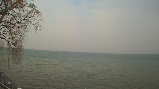 Weather camera view of Forest Lawn Beach.