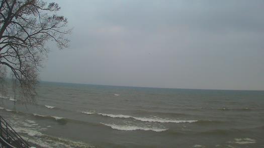 Weather camera view of Forest Lawn Beach.