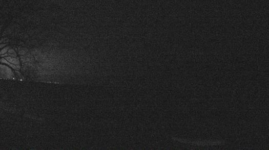 Weather camera view of Forest Lawn Beach.