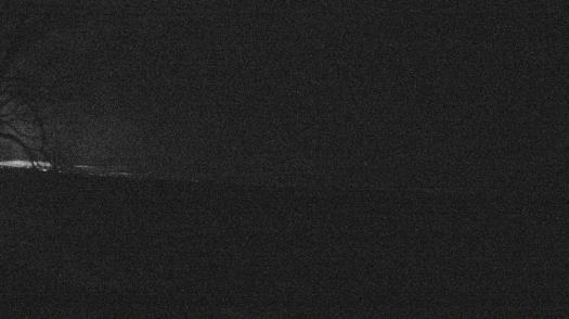 Weather camera view of Forest Lawn Beach.