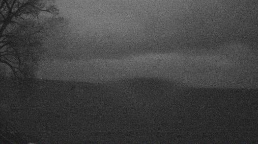 Weather camera view of Forest Lawn Beach.