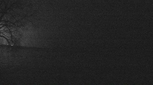 Weather camera view of Forest Lawn Beach.