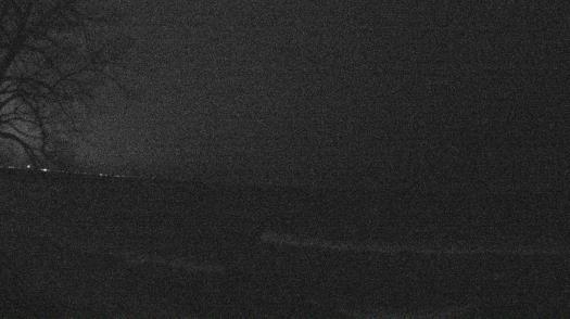 Weather camera view of Forest Lawn Beach.