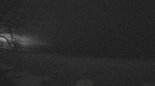 Weather camera view of Forest Lawn Beach.