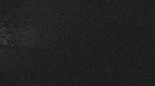 Weather camera view of Forest Lawn Beach.