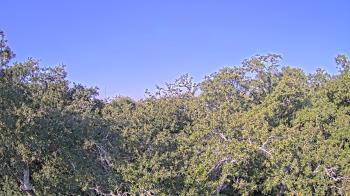 Weather camera view of Metairie Club Gardens.
