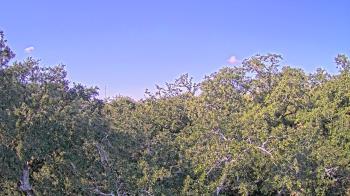 Weather camera view of Metairie Club Gardens.