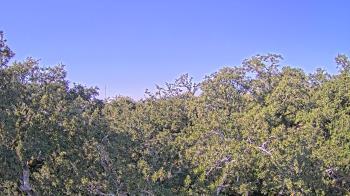Weather camera view of Metairie Club Gardens.