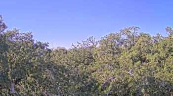 Weather camera view of Metairie Club Gardens.