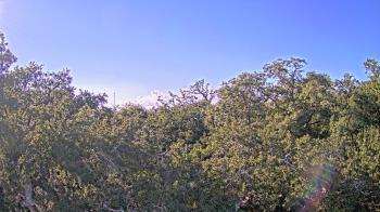 Weather camera view of Metairie Club Gardens.