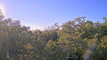 Weather camera view of Metairie Club Gardens.