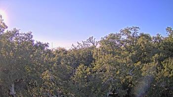 Weather camera view of Metairie Club Gardens.