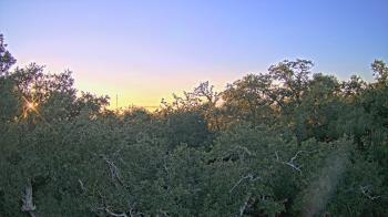 Weather camera view of Metairie Club Gardens.