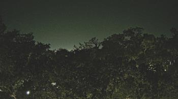 Weather camera view of Metairie Club Gardens.