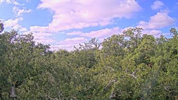 Weather camera view of Metairie Club Gardens.