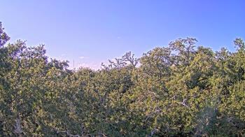 Weather camera view of Metairie Club Gardens.