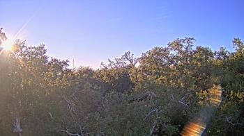 Weather camera view of Metairie Club Gardens.