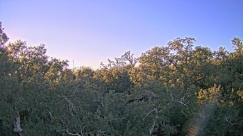 Weather camera view of Metairie Club Gardens.