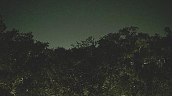 Weather camera view of Metairie Club Gardens.