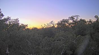 Weather camera view of Metairie Club Gardens.