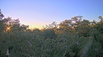 Weather camera view of Metairie Club Gardens.
