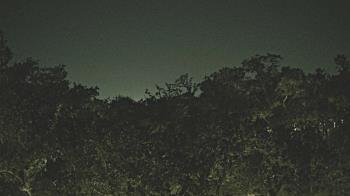 Weather camera view of Metairie Club Gardens.