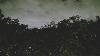 Weather camera view of Metairie Club Gardens.