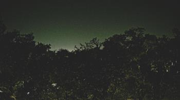 Weather camera view of Metairie Club Gardens.