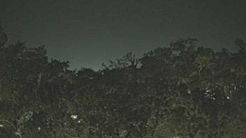 Weather camera view of Metairie Club Gardens.