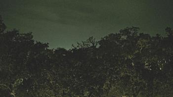 Weather camera view of Metairie Club Gardens.