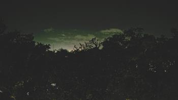 Weather camera view of Metairie Club Gardens.