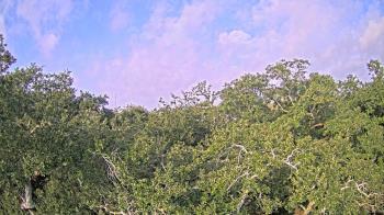 Weather camera view of Metairie Club Gardens.