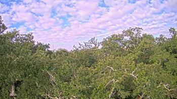 Weather camera view of Metairie Club Gardens.
