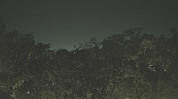 Weather camera view of Metairie Club Gardens.