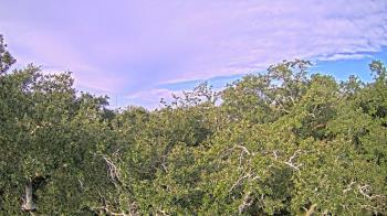 Weather camera view of Metairie Club Gardens.