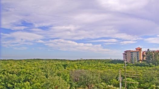Weather camera view of WTSP-TV.