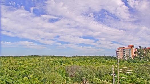 Weather camera view of WTSP-TV.