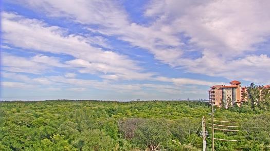 Weather camera view of WTSP-TV.