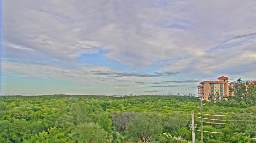 Weather camera view of WTSP-TV.