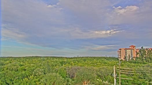 Weather camera view of WTSP-TV.